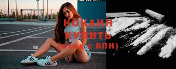 индика Новодвинск