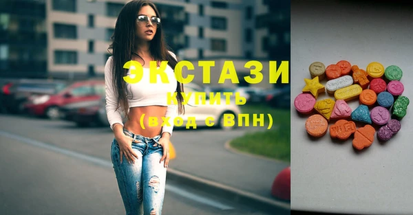 индика Новодвинск