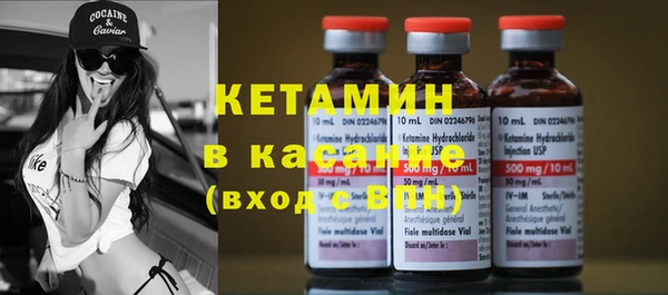 индика Новодвинск