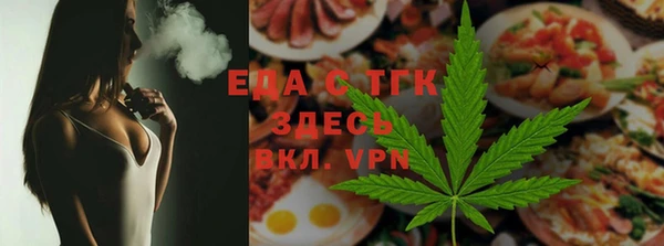 индика Новодвинск