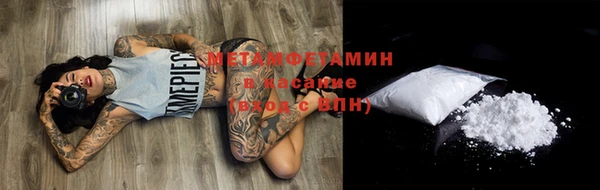 индика Новодвинск