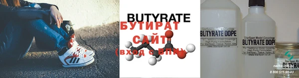сатива Няндома