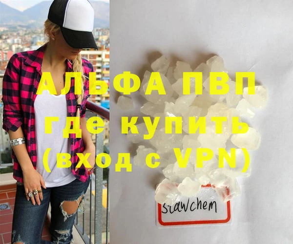 индика Новодвинск