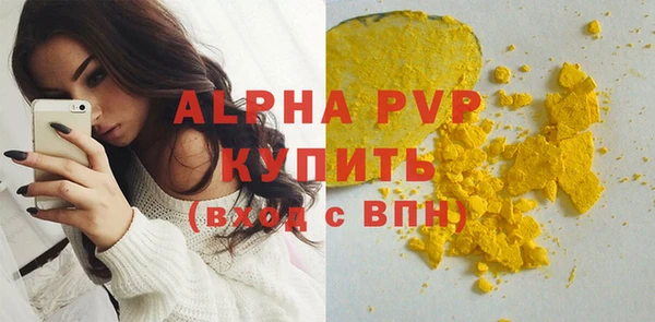 индика Новодвинск