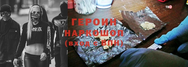 индика Новодвинск