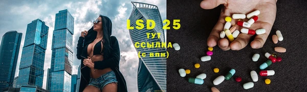 индика Новодвинск